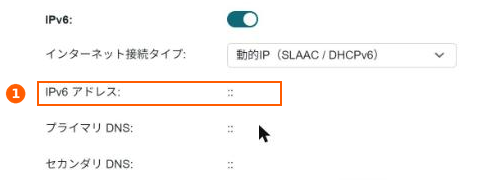 Archer BE6500(TP-Link) のIPv6画面。IPv6アドレスもDNSも :: のまま